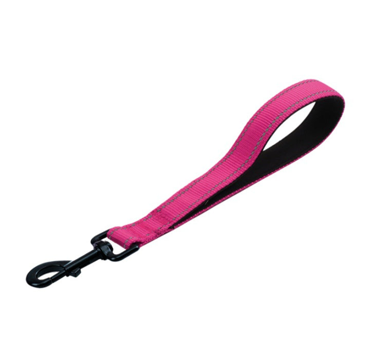 Durable Nylon Dog Leash
