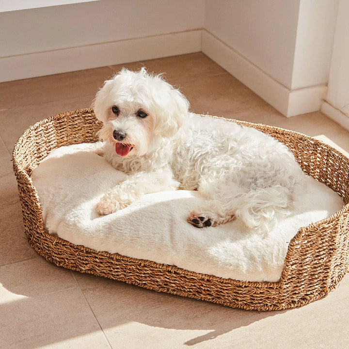 Cozy and stylish dog bed made of braided material Kalsten