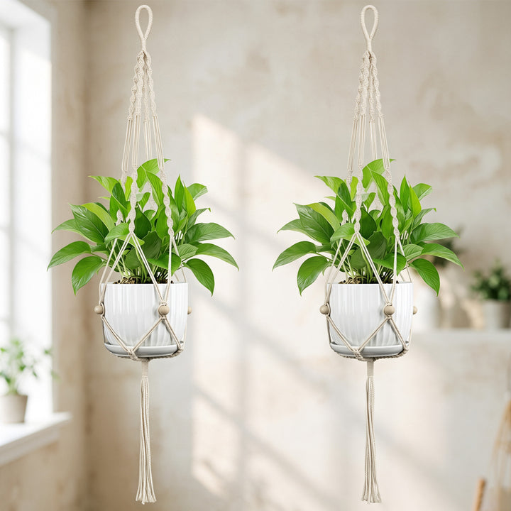 Plant Hanging Pot Kalsten