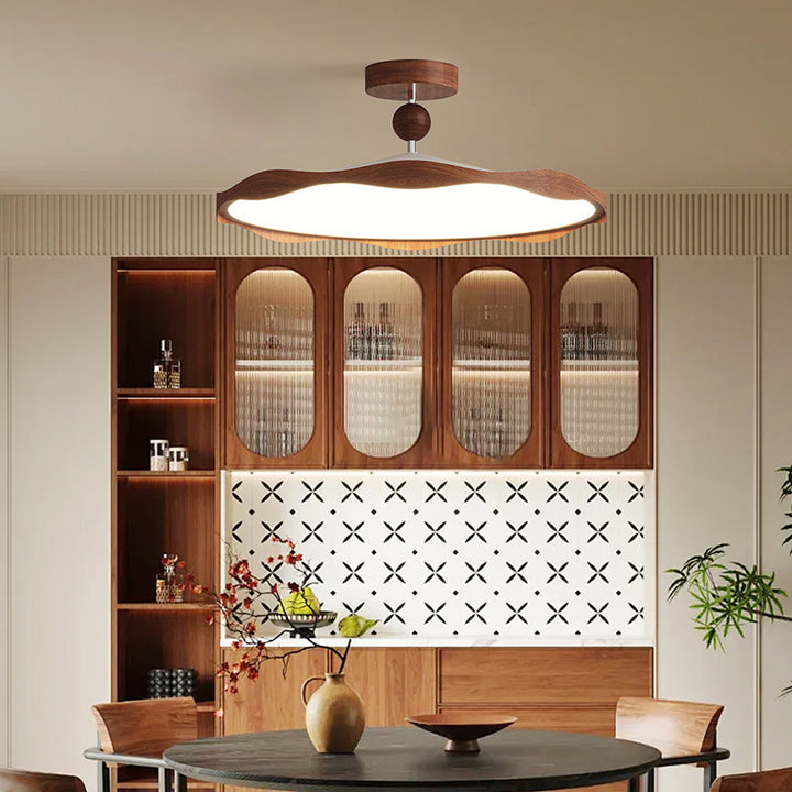 Contemporary Ceiling Light Fixture