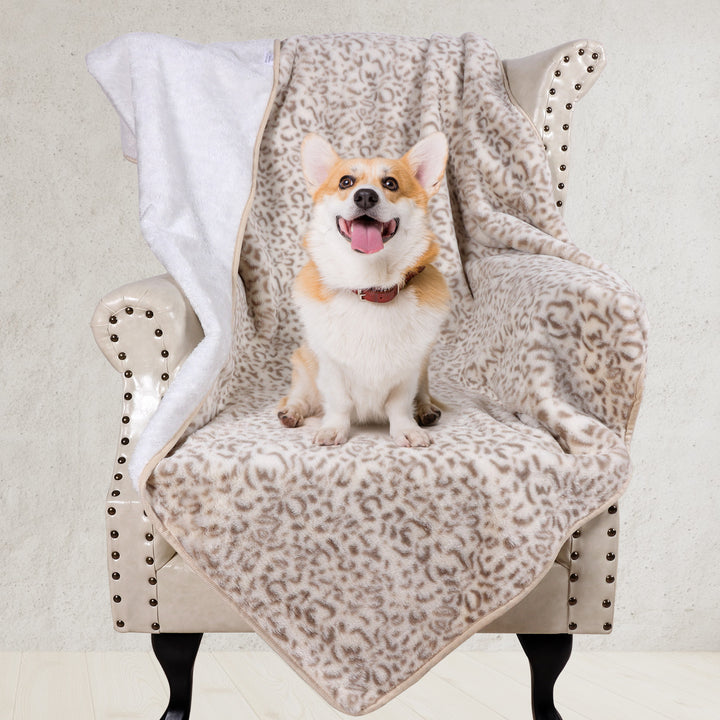 Ladies Snuggle Blanket Kalsten
