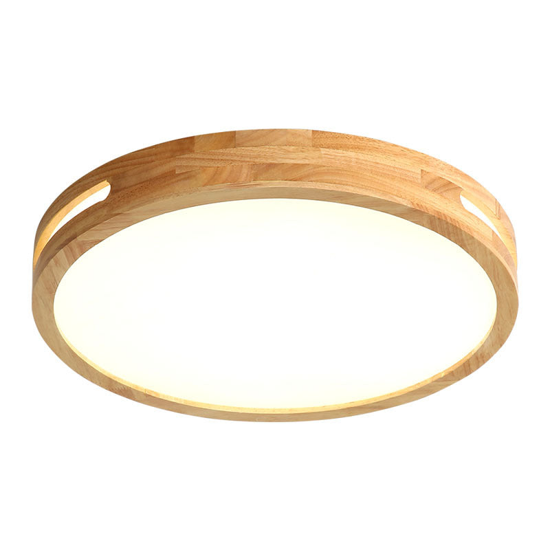 Contemporary LED Ceiling Fixture