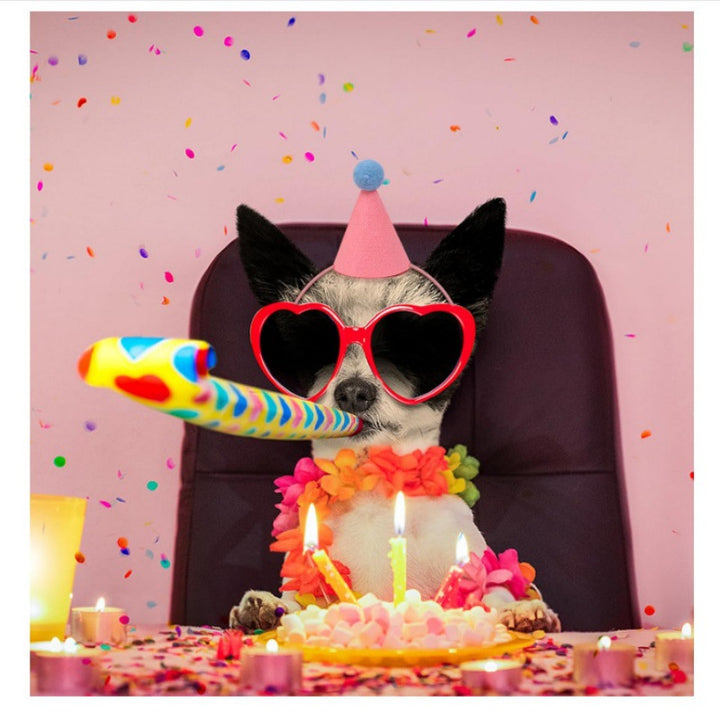 Felt Party Hat Craft Kit Kalsten