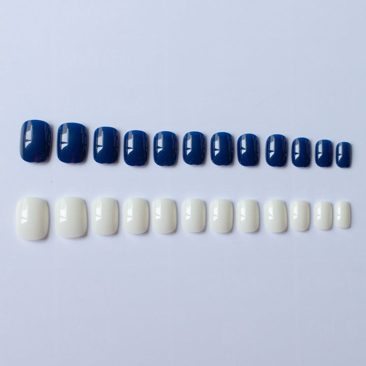 Elegant Dual Color Nail Art Set