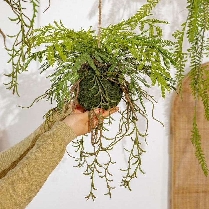Hanging Fern Plant Decoration