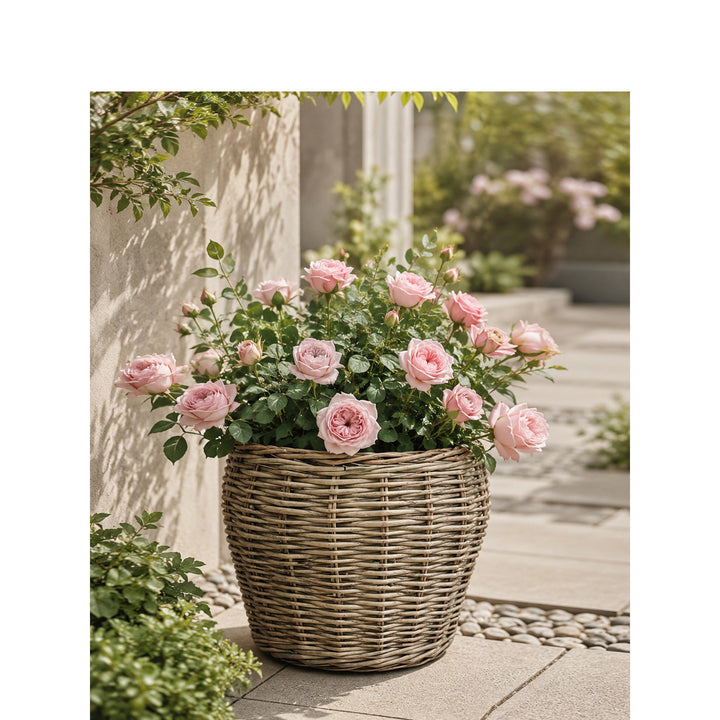 Decorative plant basket with plastic inner bag Kalsten