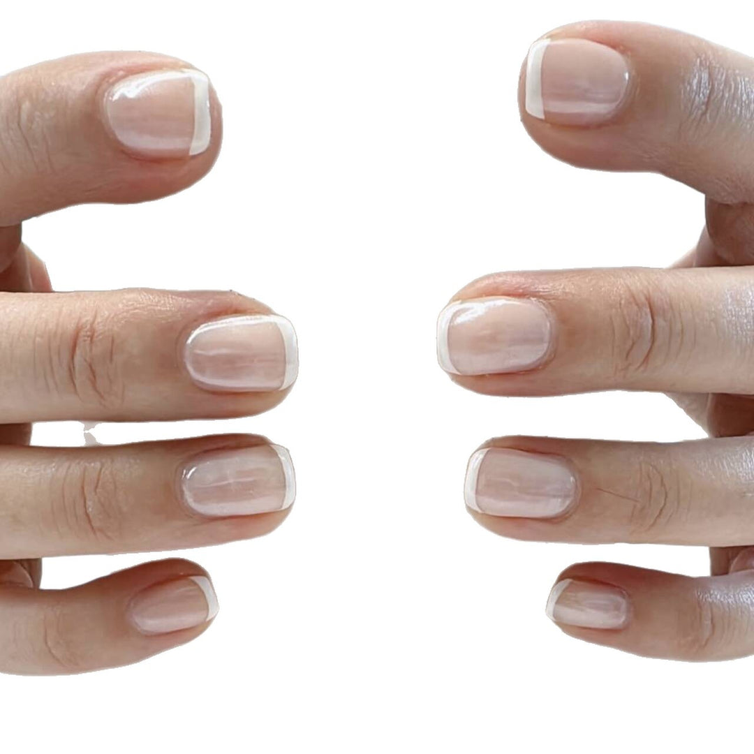 Elegant Press-On Nail Set with French Tips Kalsten
