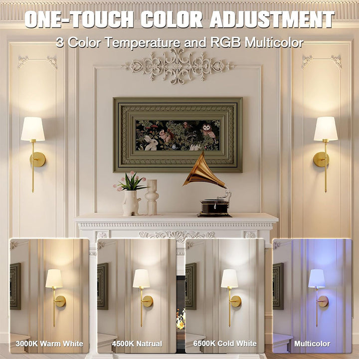 Modern Adjustable Wall Light Fixture