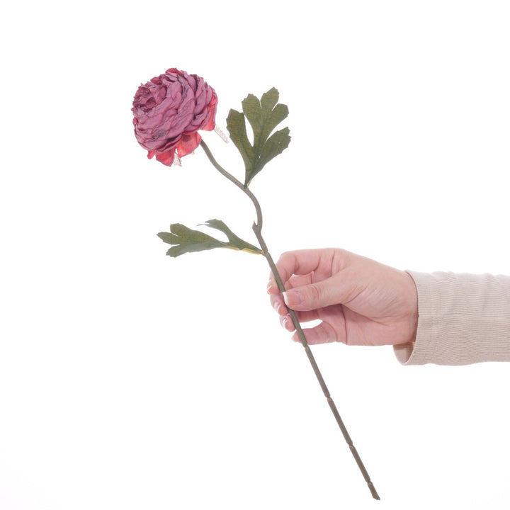 Realistic Floral Stem with Detailed Petals