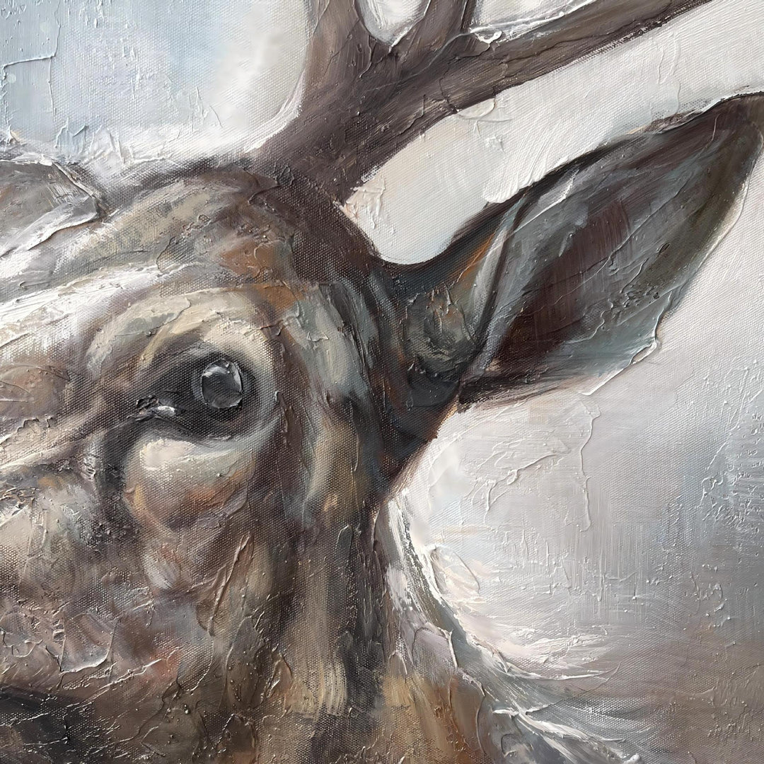 Wildlife Wall Art