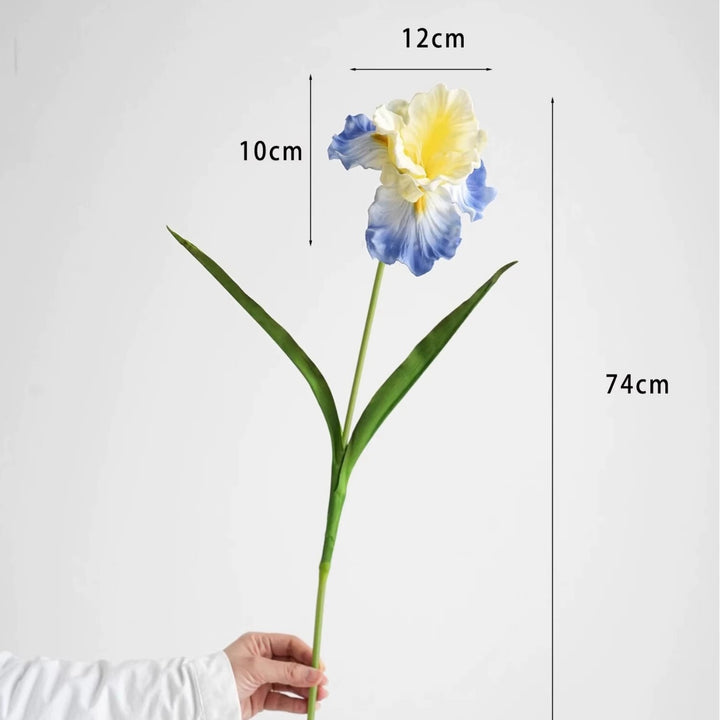 Decorative Iris Flower Stem