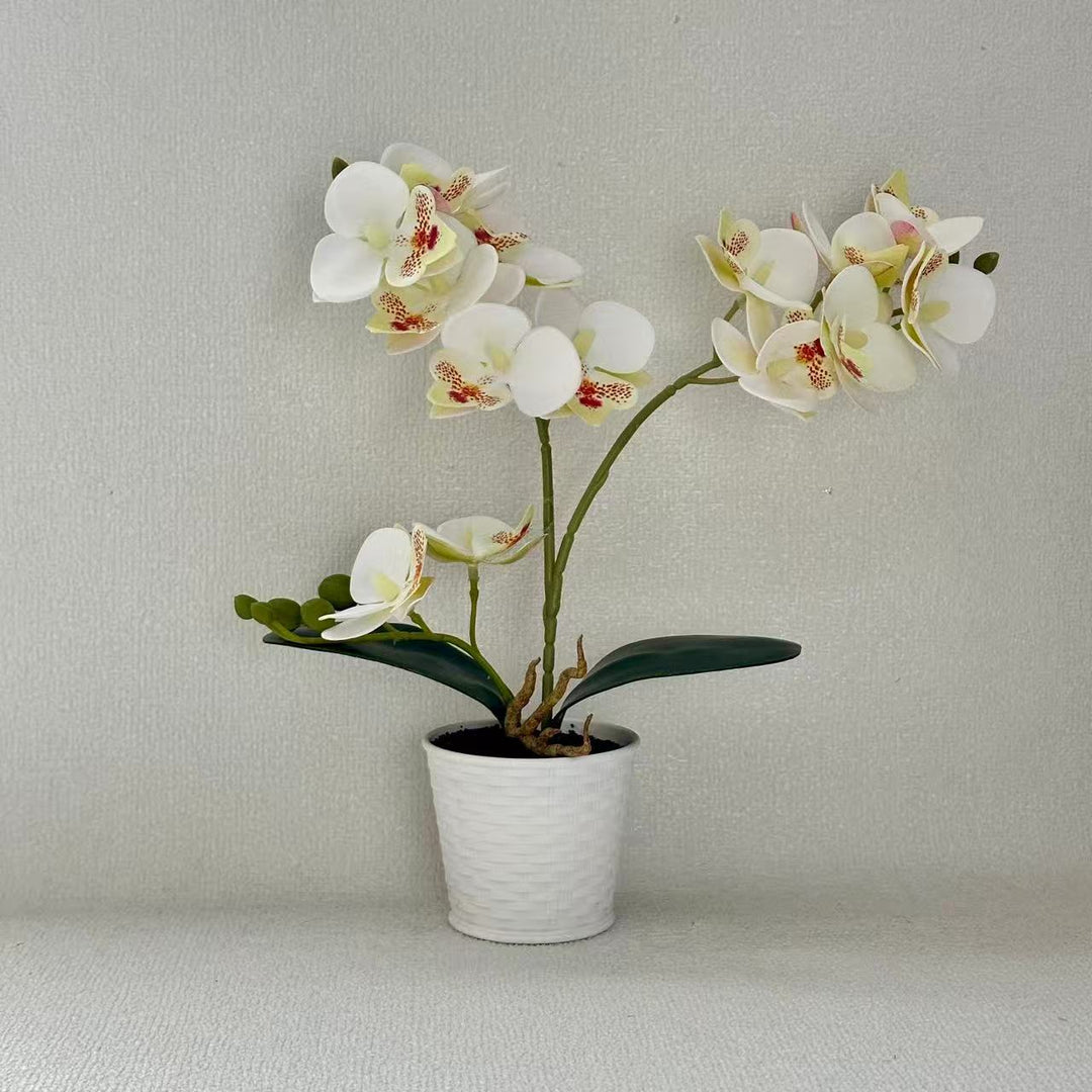 Elegant Faux Orchid Plant