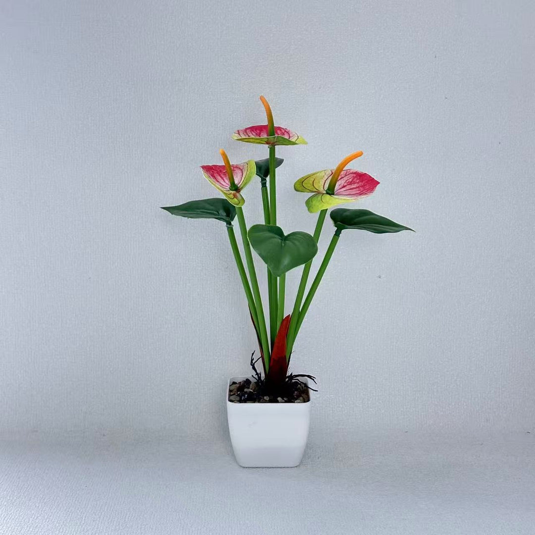 Realistic Anthurium Plant Arrangement