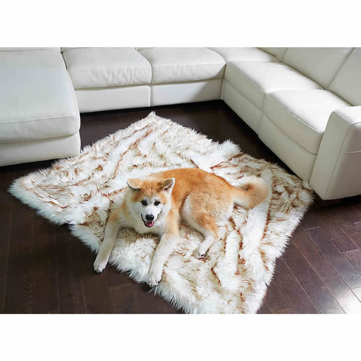 Unisex soft pet blanket with luxurious plush Kalsten