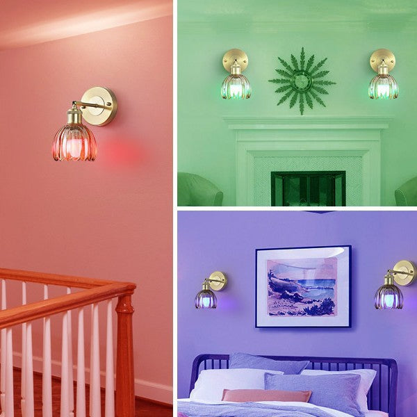 Elegant Glass Wall Sconce