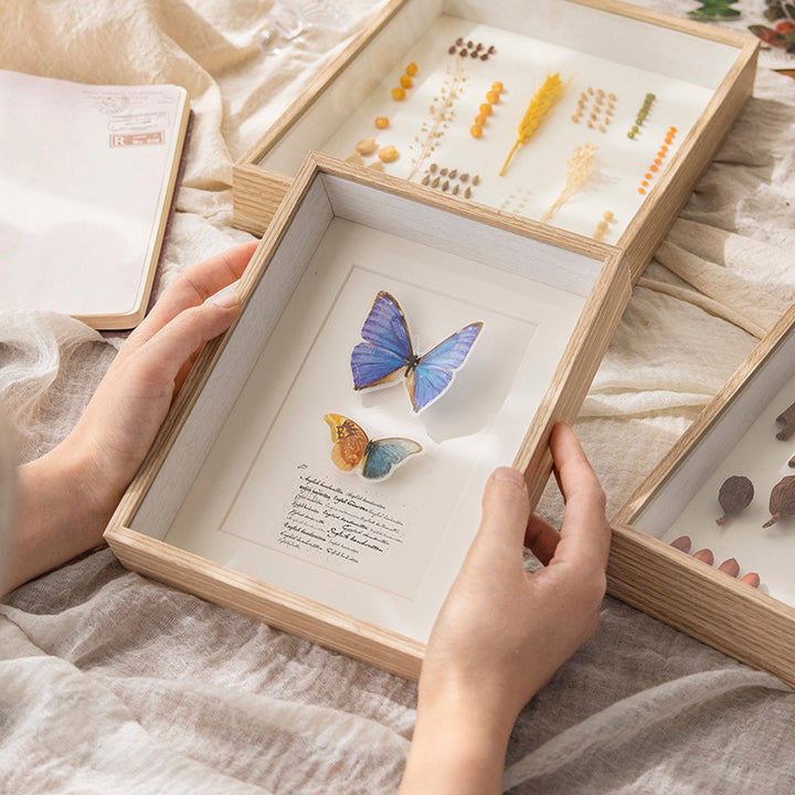 Floral Shadow Box Display Frame for Home Decor