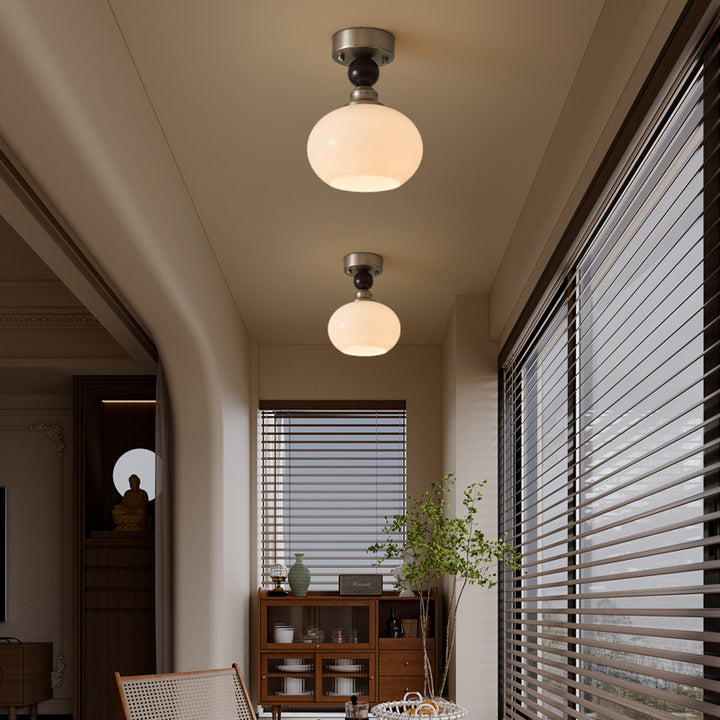 Elegant Globe Pendant Light