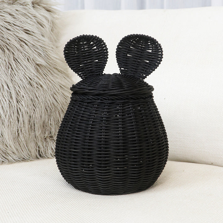 Decorative Woven Storage Basket with Lid Kalsten