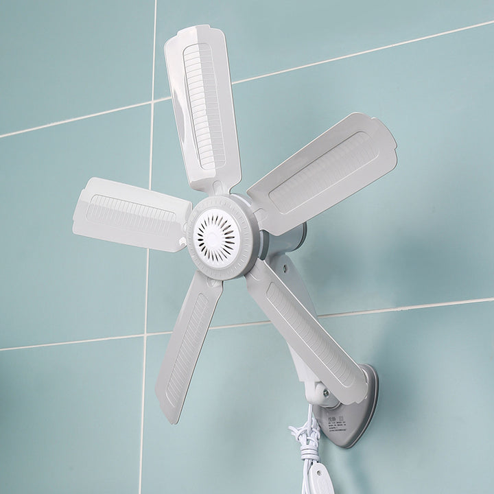 Women Wall Fan Kalsten