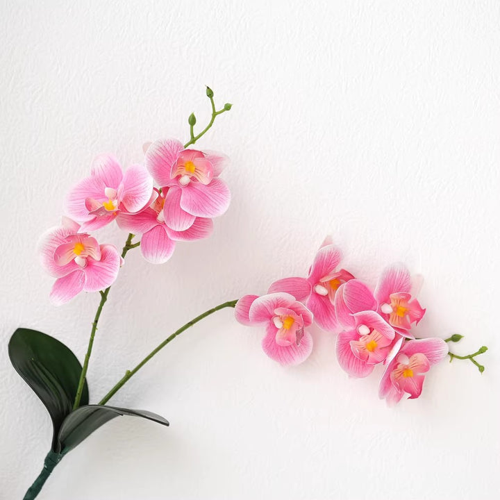 Decorative Orchid Arrangement