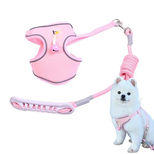 Pet harness with leash Kalsten