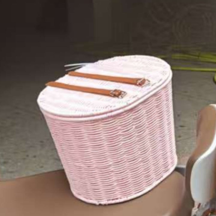 Woven Scooter Storage Basket Kalsten