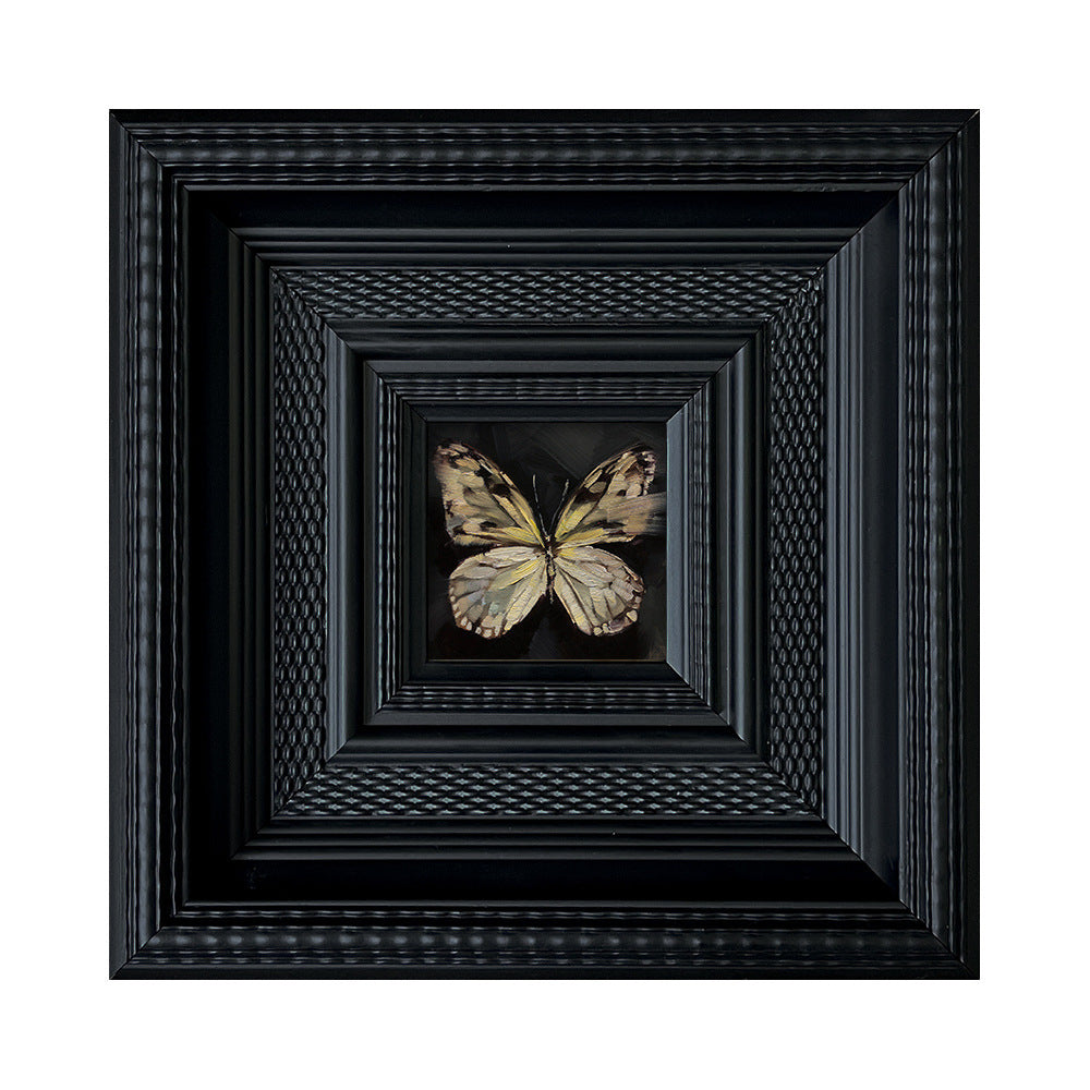 Insect Art Display in Frames