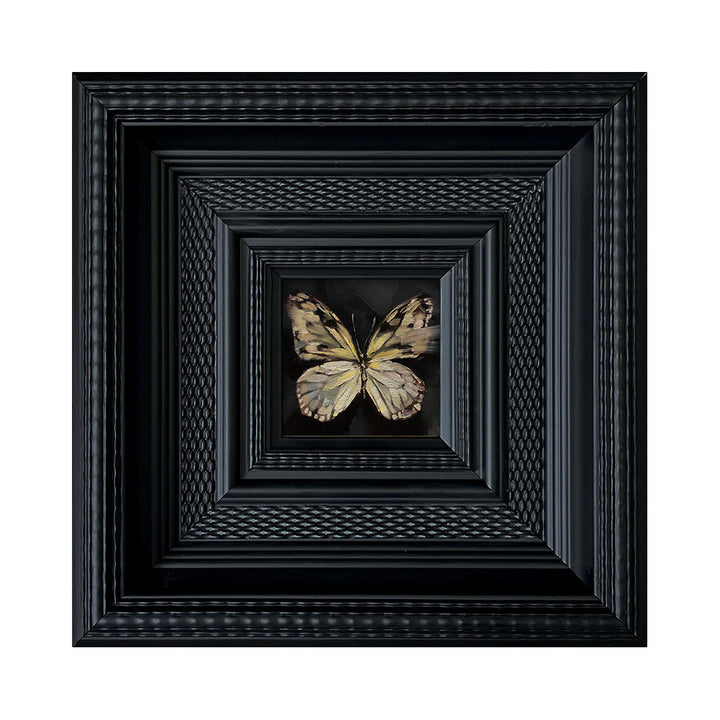 Insect Art Display in Frames