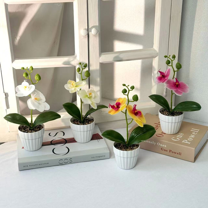 Lifelike Orchid Plant in Decorative Ceramic Pot for Decor
