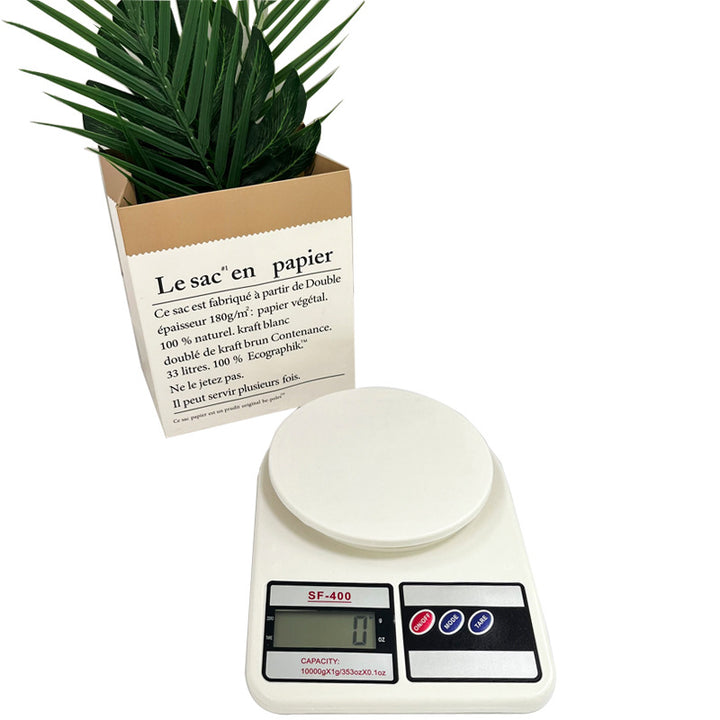 Digital Kitchen Scale