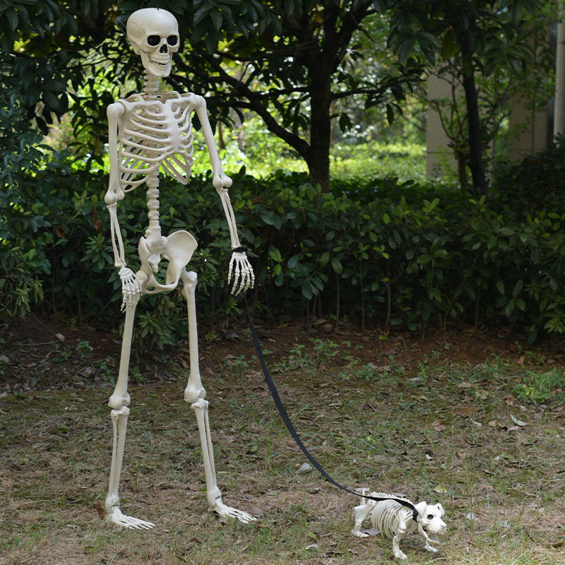 Jointed Posable Skeleton Figures Kalsten