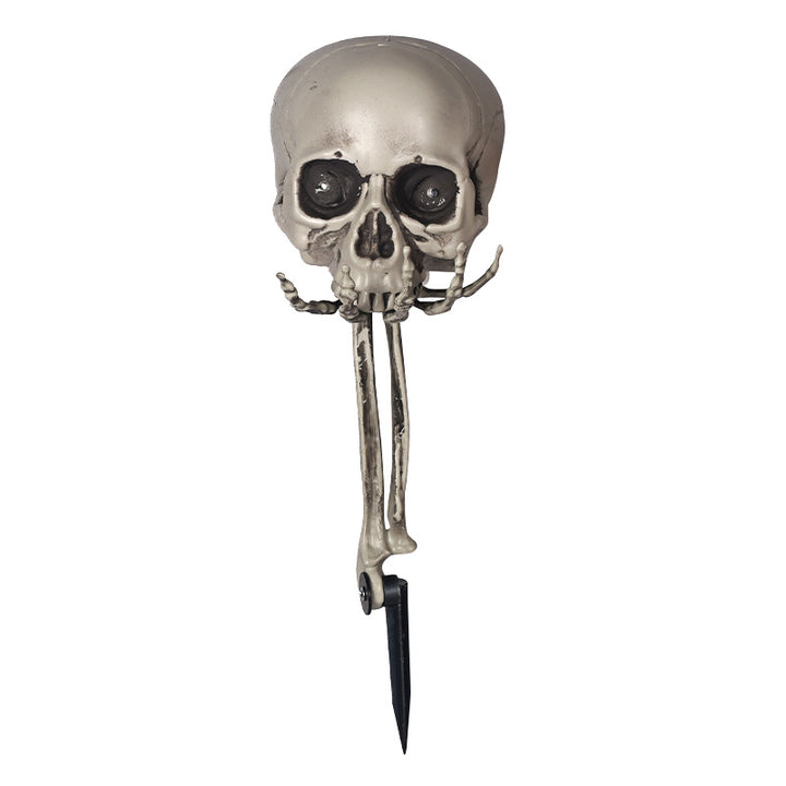 Creepy Decorative Skeleton Head Prop Kalsten