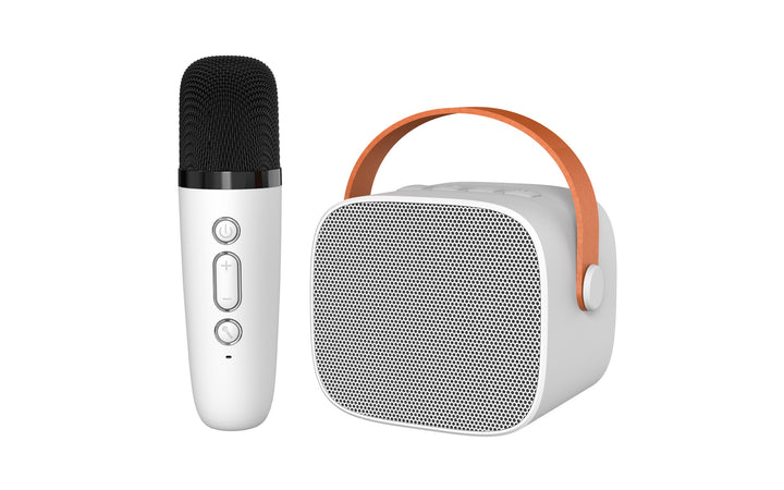 Portable Wireless Karaoke Microphone Set Kalsten