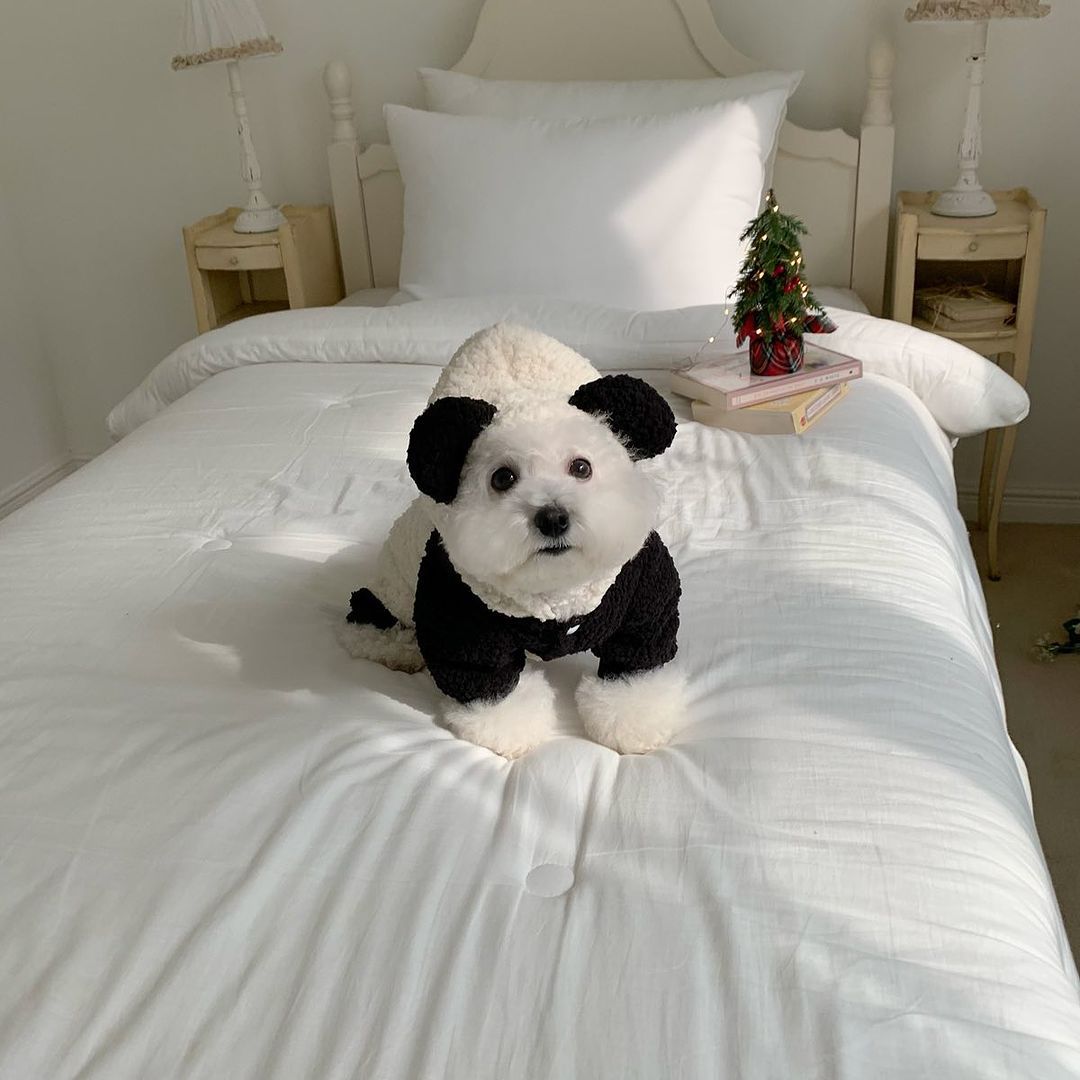 Sherpa Fleece Panda Hoodie Harness-Friendly Dog Coat
