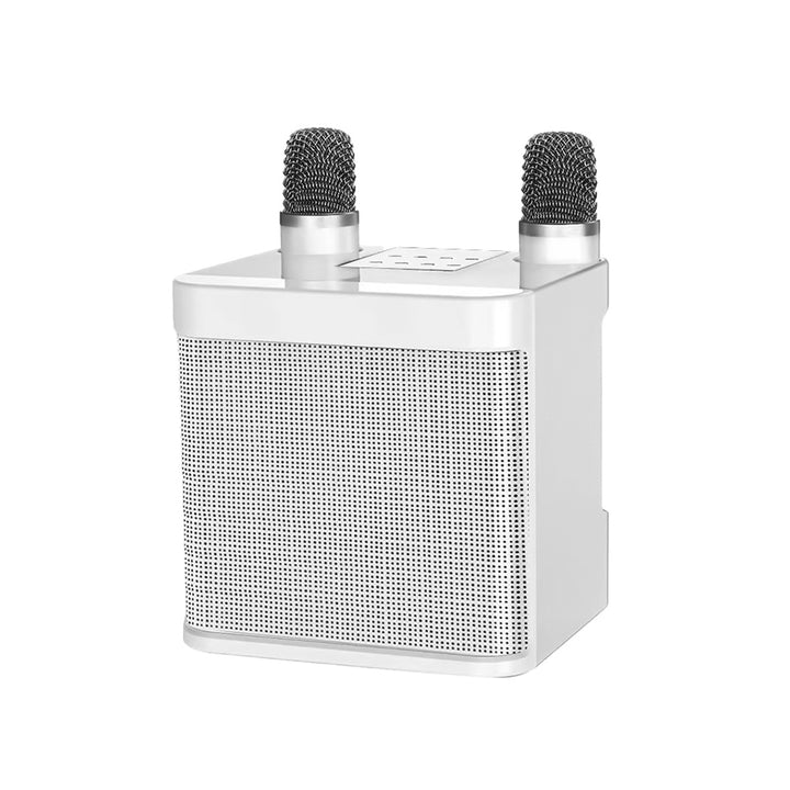 Wireless Karaoke Sound System Kalsten