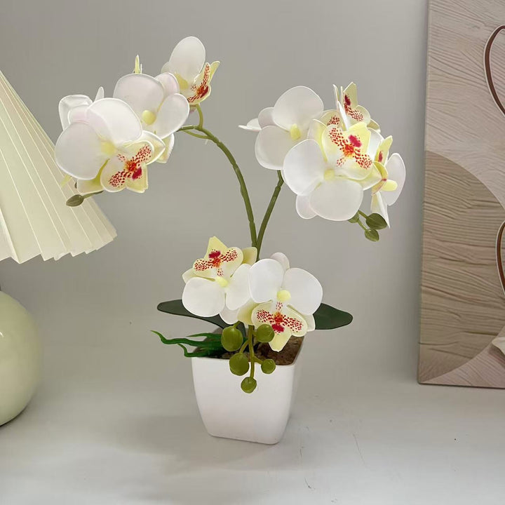 Lifelike Orchid Plant Arrangement for Home Display