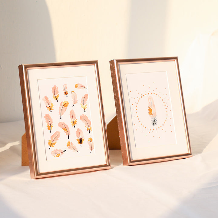 Decorative Artwork Display Frames