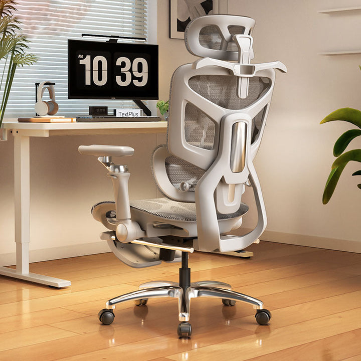 Ergonomic Office Chair Kalsten