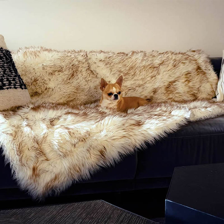 Unisex soft pet blanket with luxurious plush Kalsten