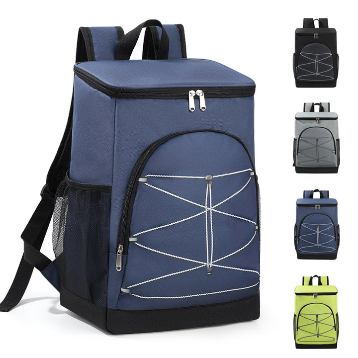 Insulated Travel Backpack