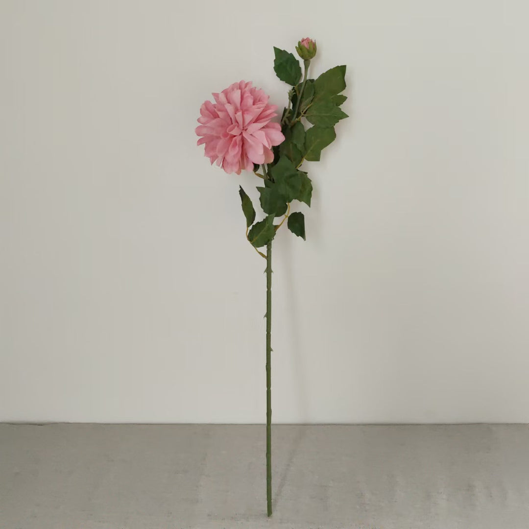Realistic Dahlia Flower Stem