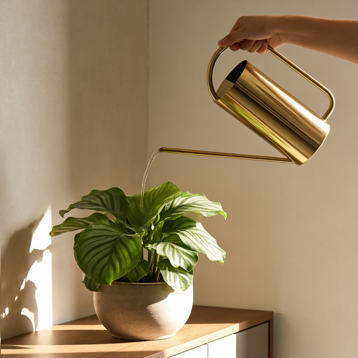 Modern Minimalist Watering Can