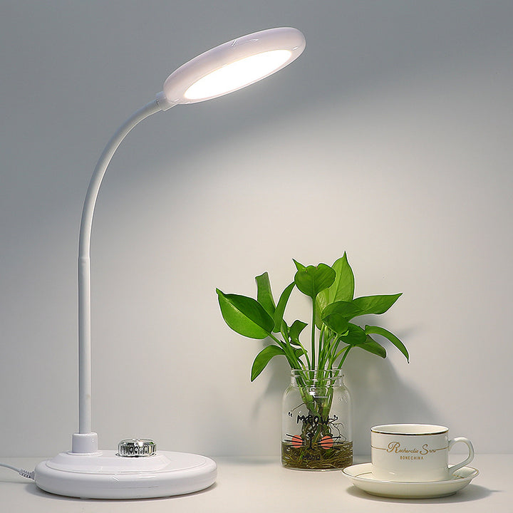LED Table Lamp