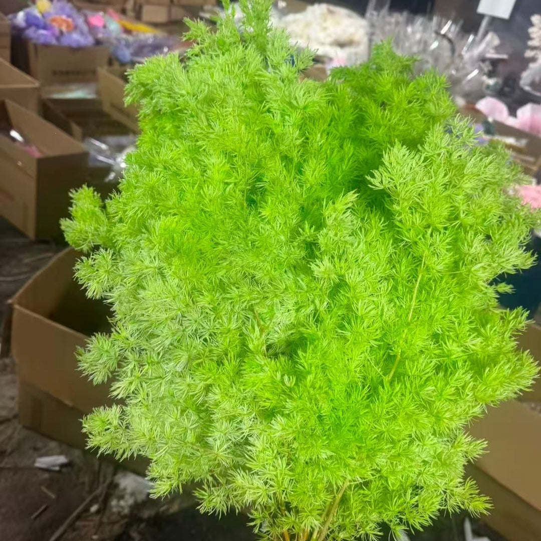 Decorative Dried Foliage Arrangement