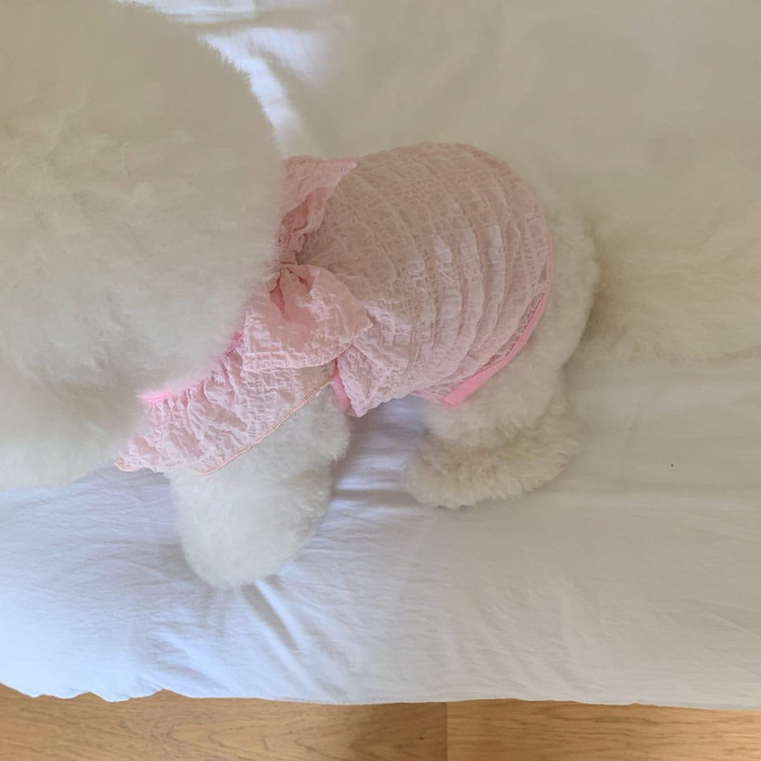 Lace Ruched Pet Dress with Decorative Back