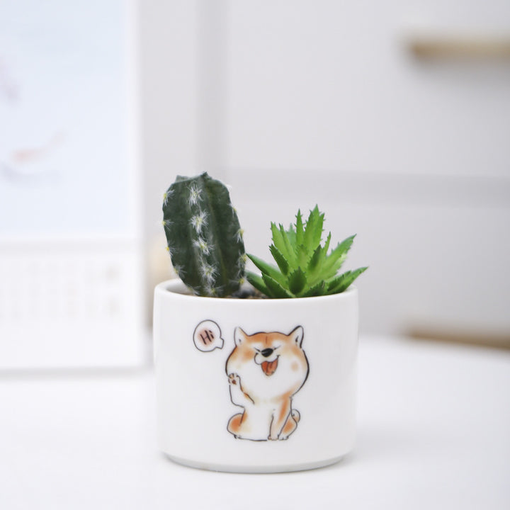 Cute Animal-Themed Succulent Planter Kalsten