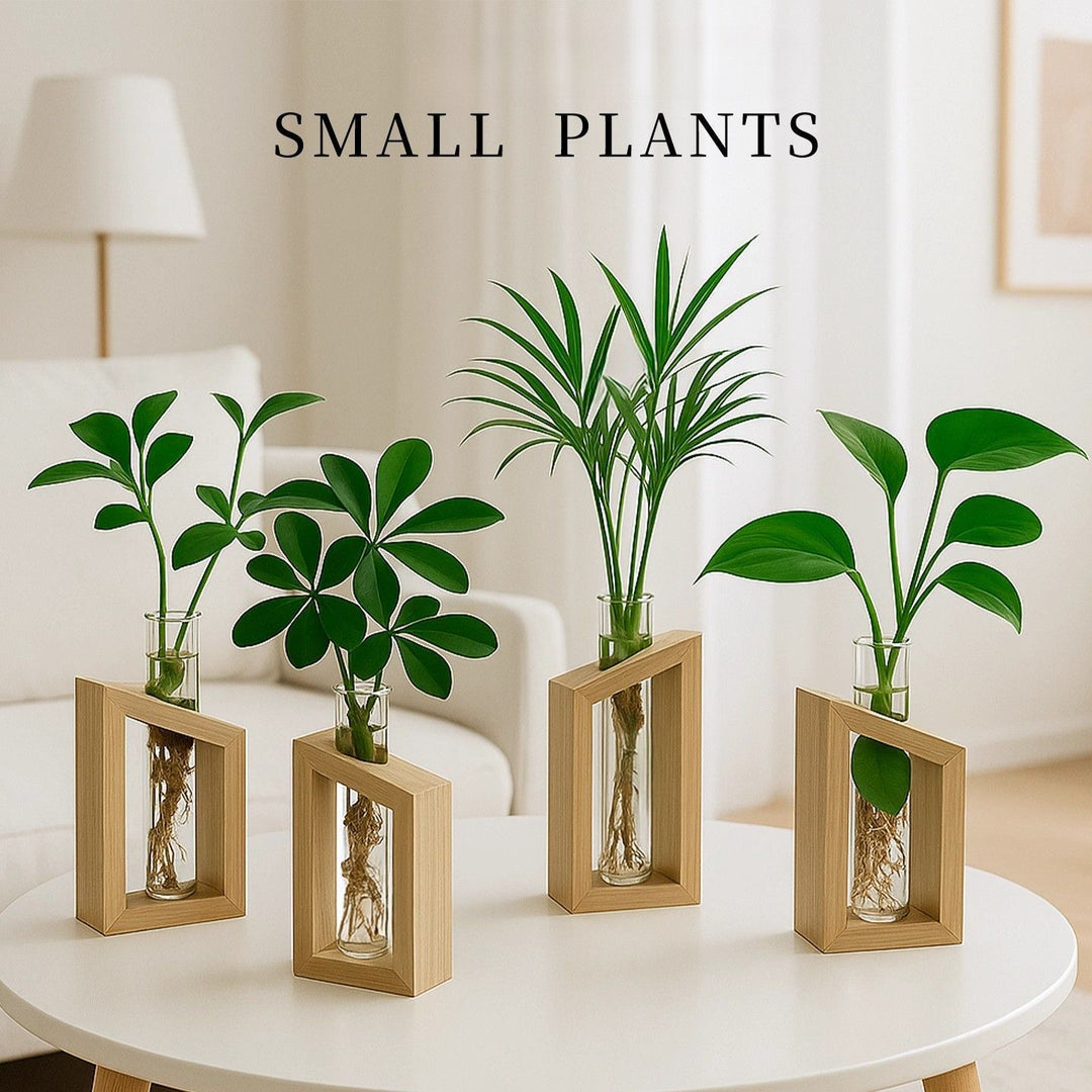 Elegant Glass Plant Holder Set for Home Decor