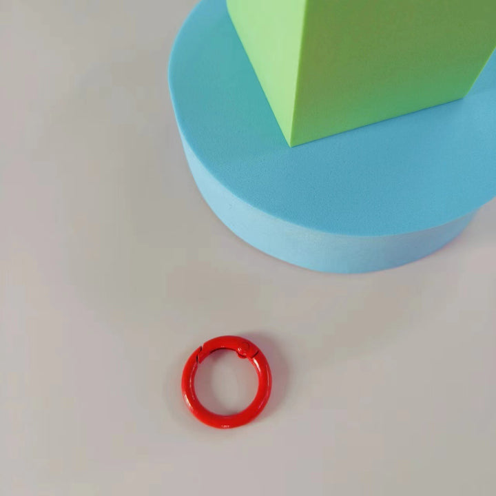 Versatile Clip-On Keyring Kalsten