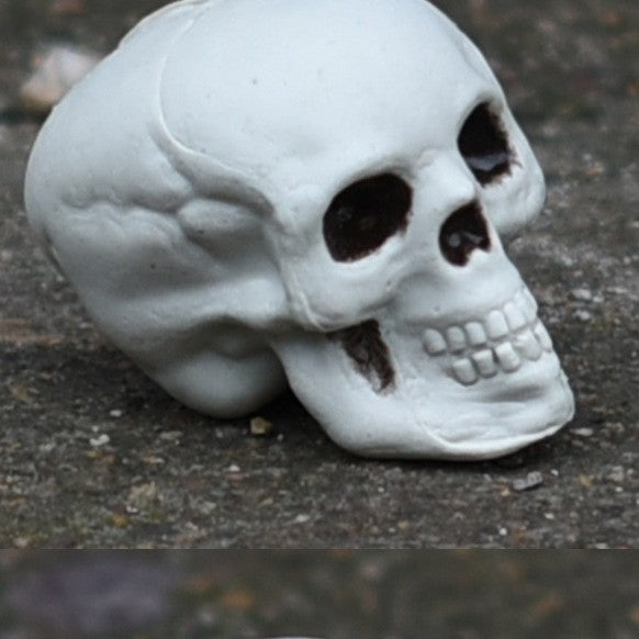 Decorative Mini Skull Figurine Kalsten