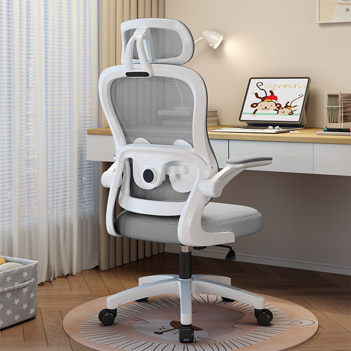Ergonomic Study Chair Kalsten